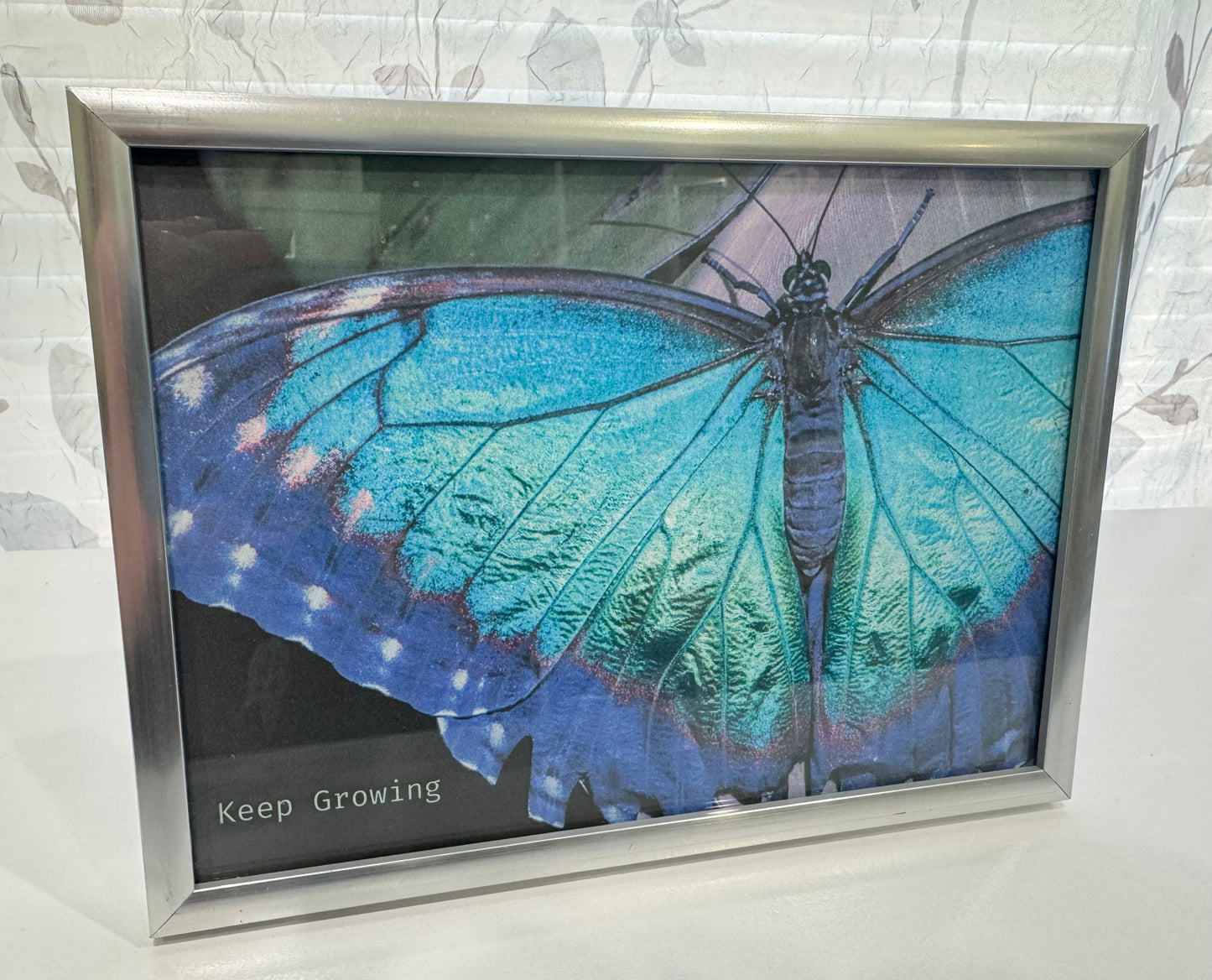 Keep Growing Butterfly 5" x 7" Framed Iridescent Green Blue and Purple Butterfly Art Print