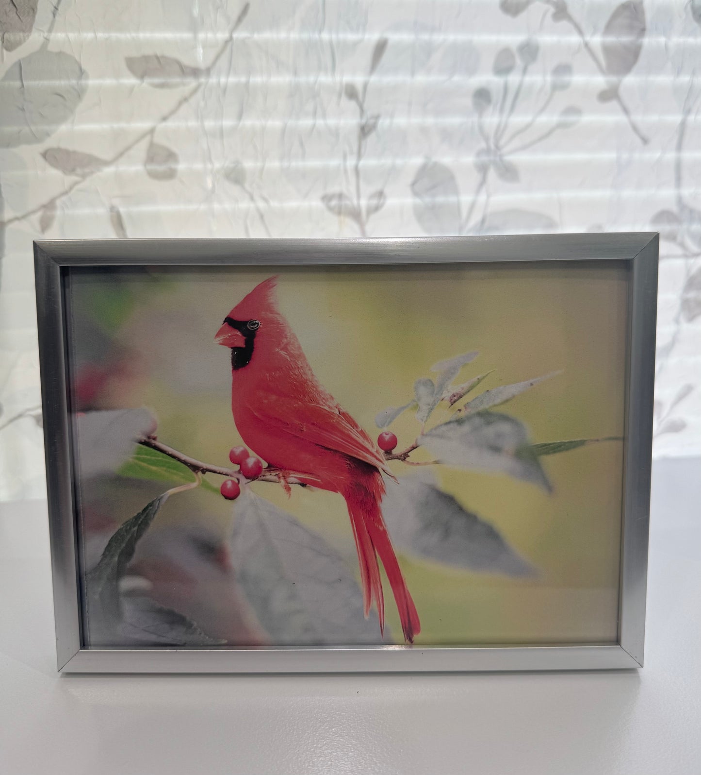 Happy Cardinal in the Sunshine ~ Remember the Good Times ~ DeskMates Framed Animal Art Print