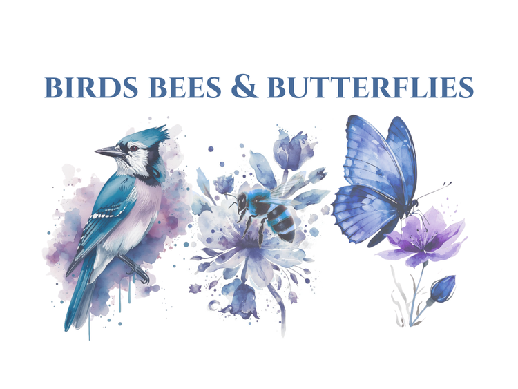 Birds Bees & Butterflies