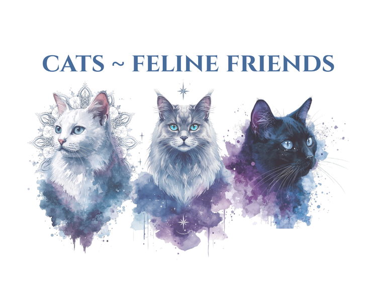 Cats ~ Feline Friends
