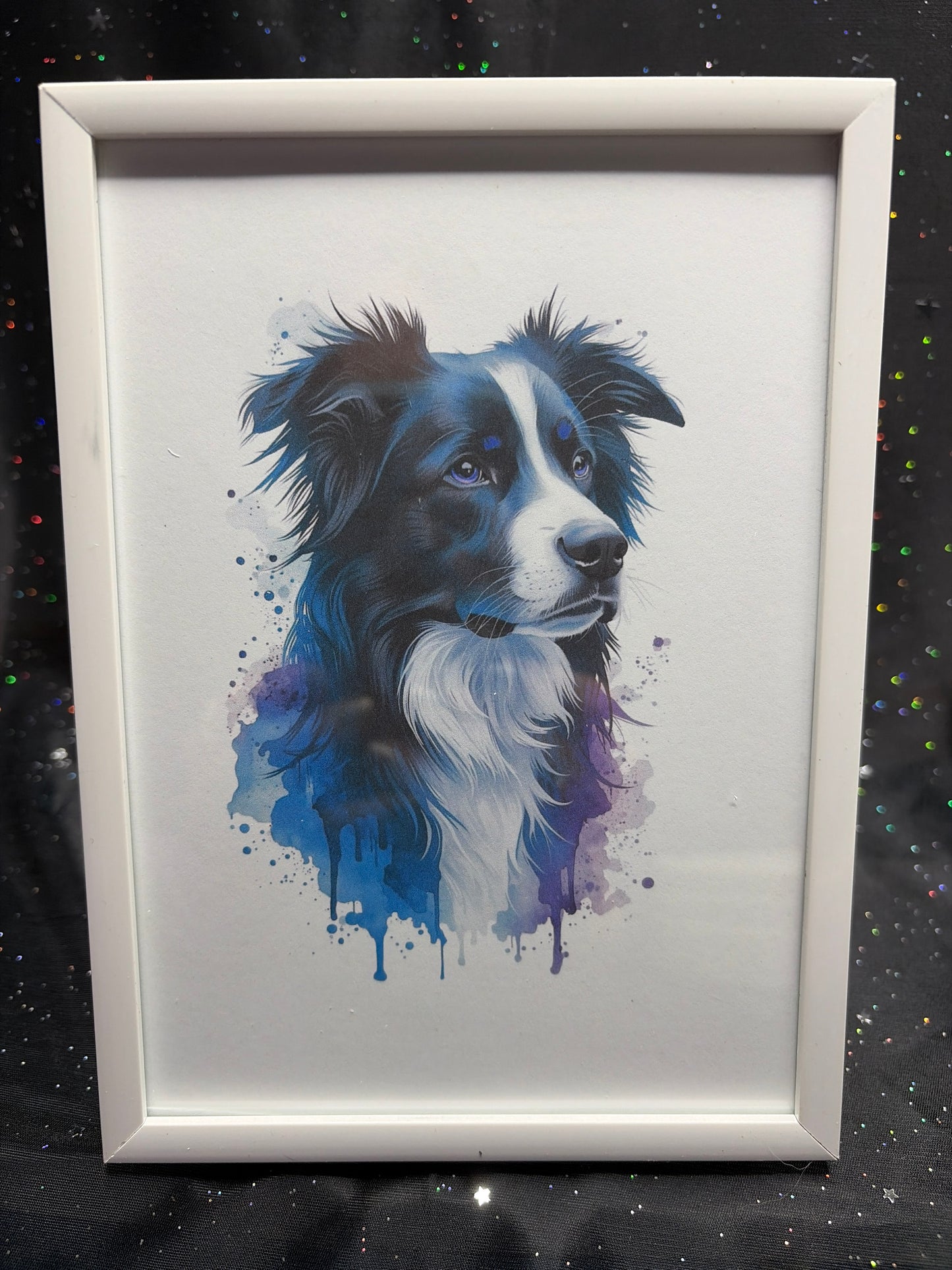 DeskMates Framed Art Print 💠 D09 Border Collie Dog