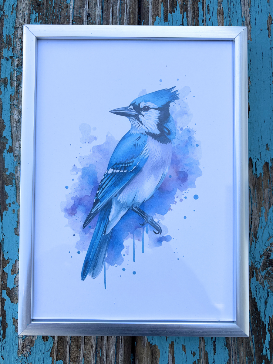 DeskMates Framed Art Print 💠 BD01 Blue Jay Bird
