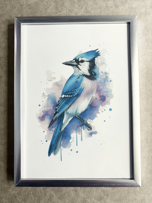 DeskMates Framed Art Print 💠 BD01 Blue Jay Bird