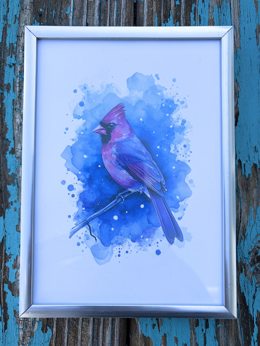 DeskMates Framed Art Print 💠 BD02 Cardinal Bird