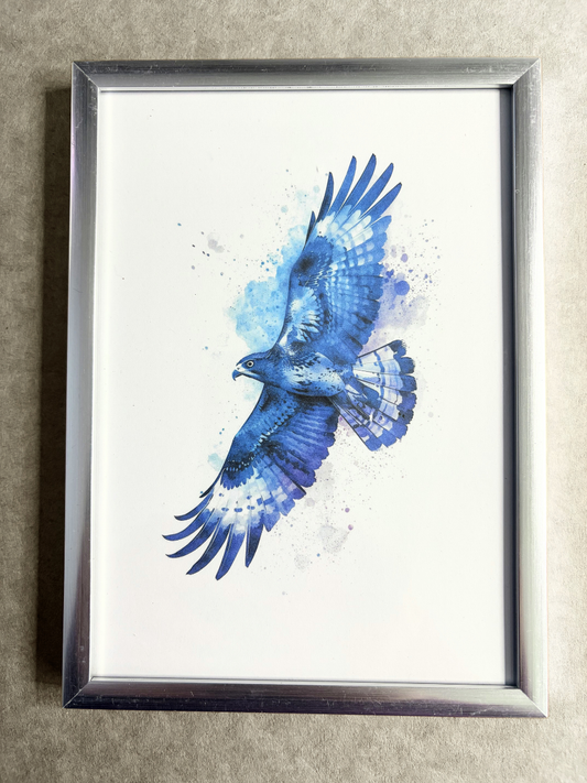 DeskMates Framed Art Print 💠 BD05 Hawk Bird