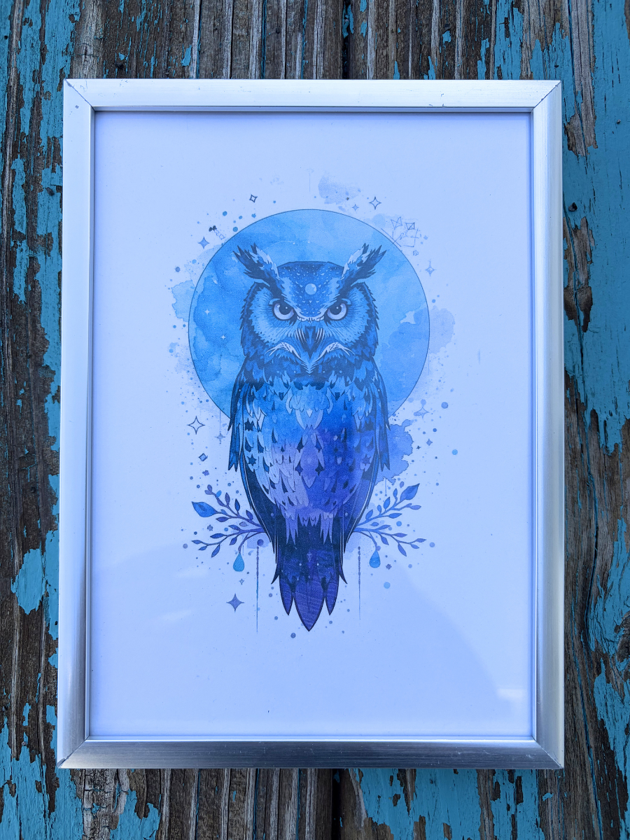 DeskMates Framed Art Print 💠 BD08 Owl Bird