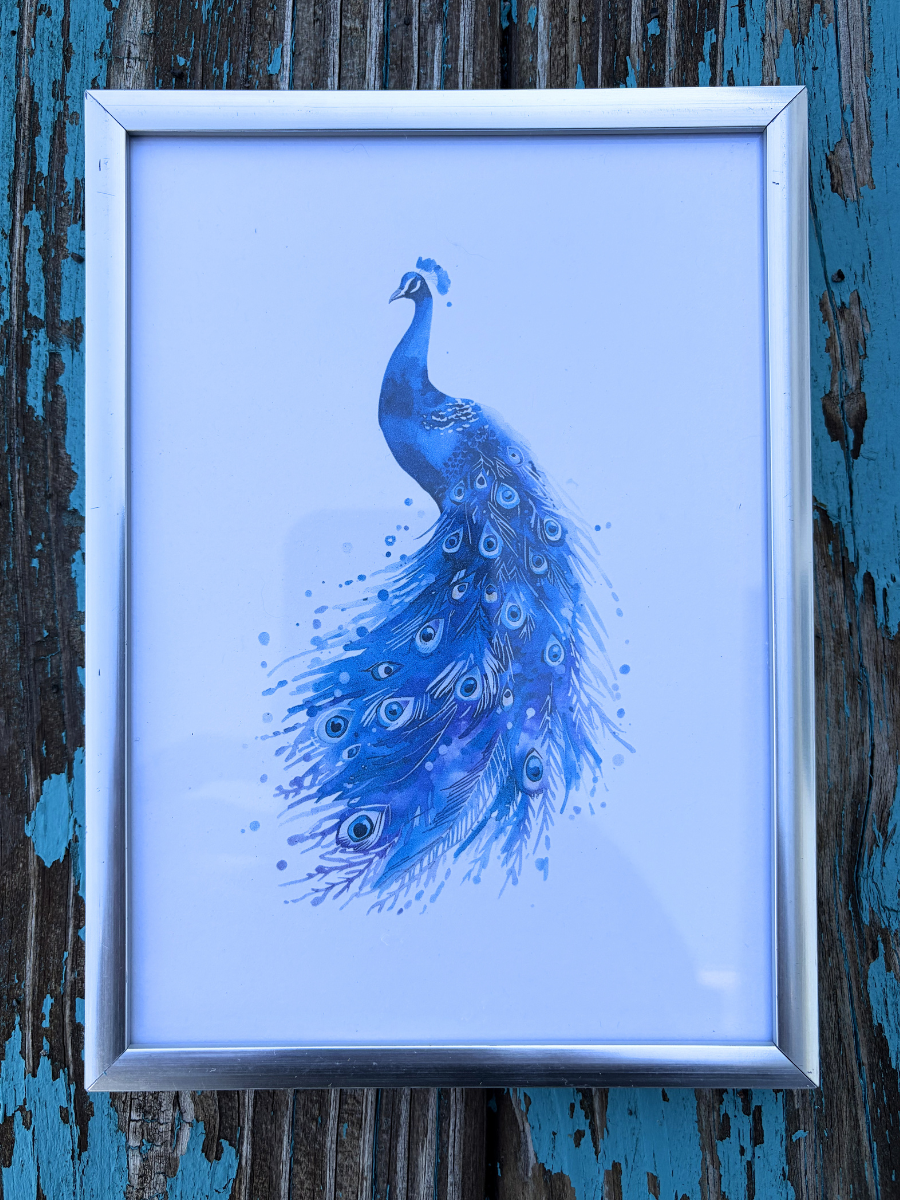 DeskMates Framed Art Print 💠 BD09 Peacock Bird