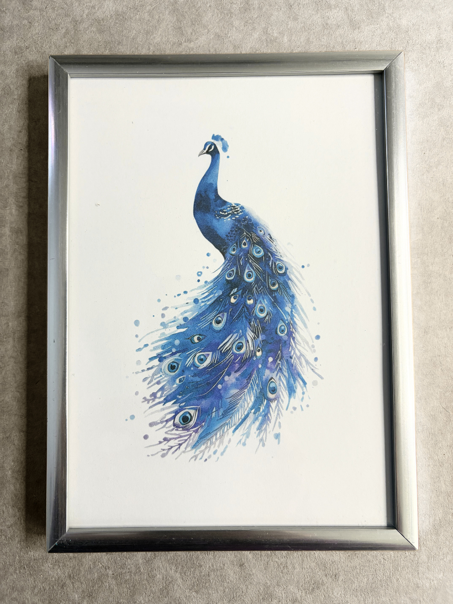 DeskMates Framed Art Print 💠 BD09 Peacock Bird