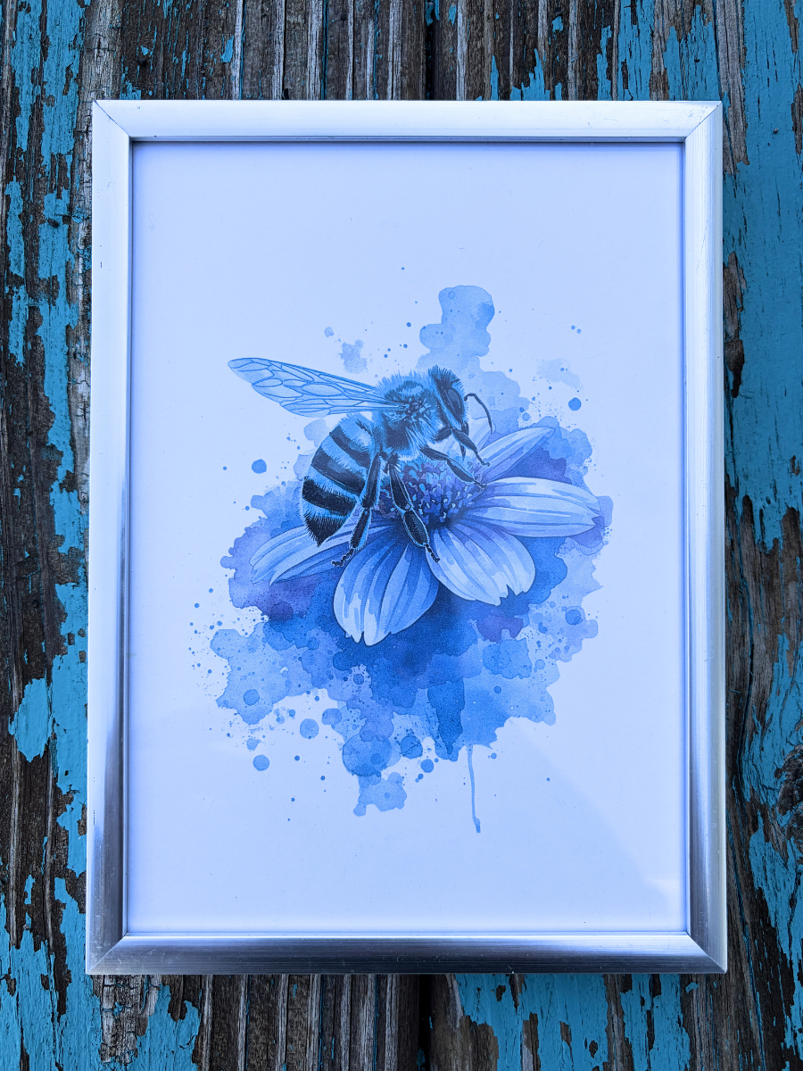 DeskMates Framed Art Print 💠 BE01 Honey Bee 1