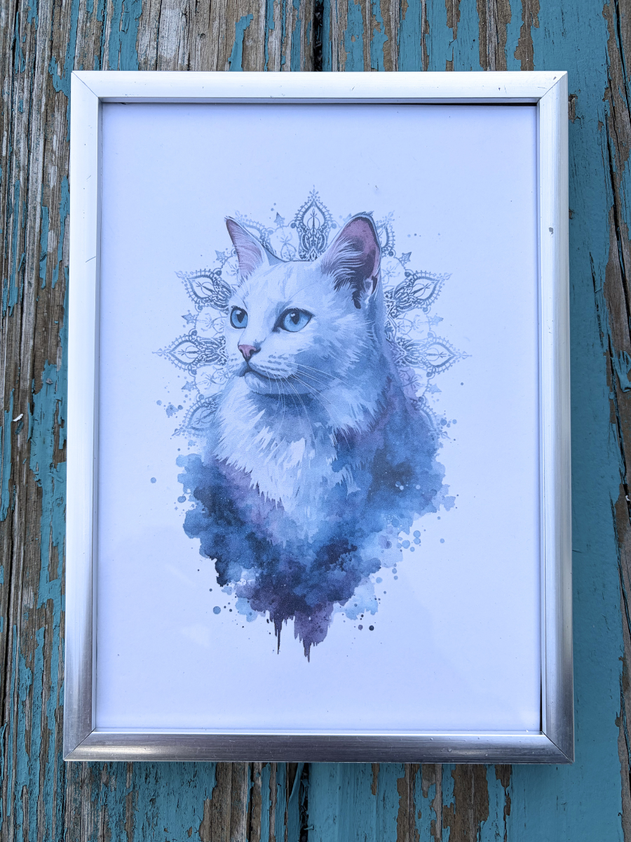 DeskMates Framed Art Print 💠 C02 Star 💠 White Cat