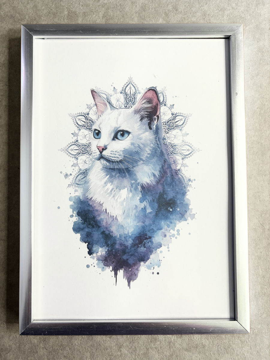 DeskMates Framed Art Print 💠 C02 Star 💠 White Cat