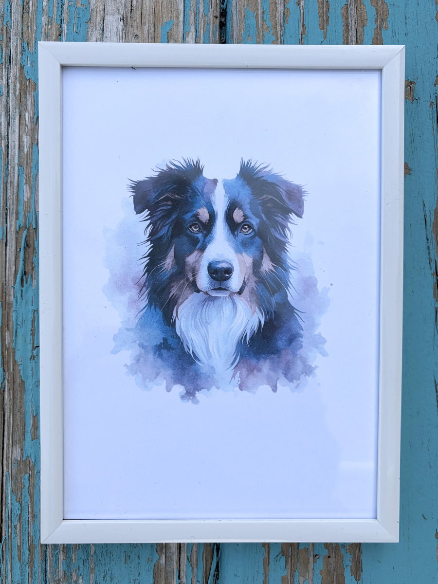 DeskMates Framed Art Print 💠 D02 Australian Shepherd Dog