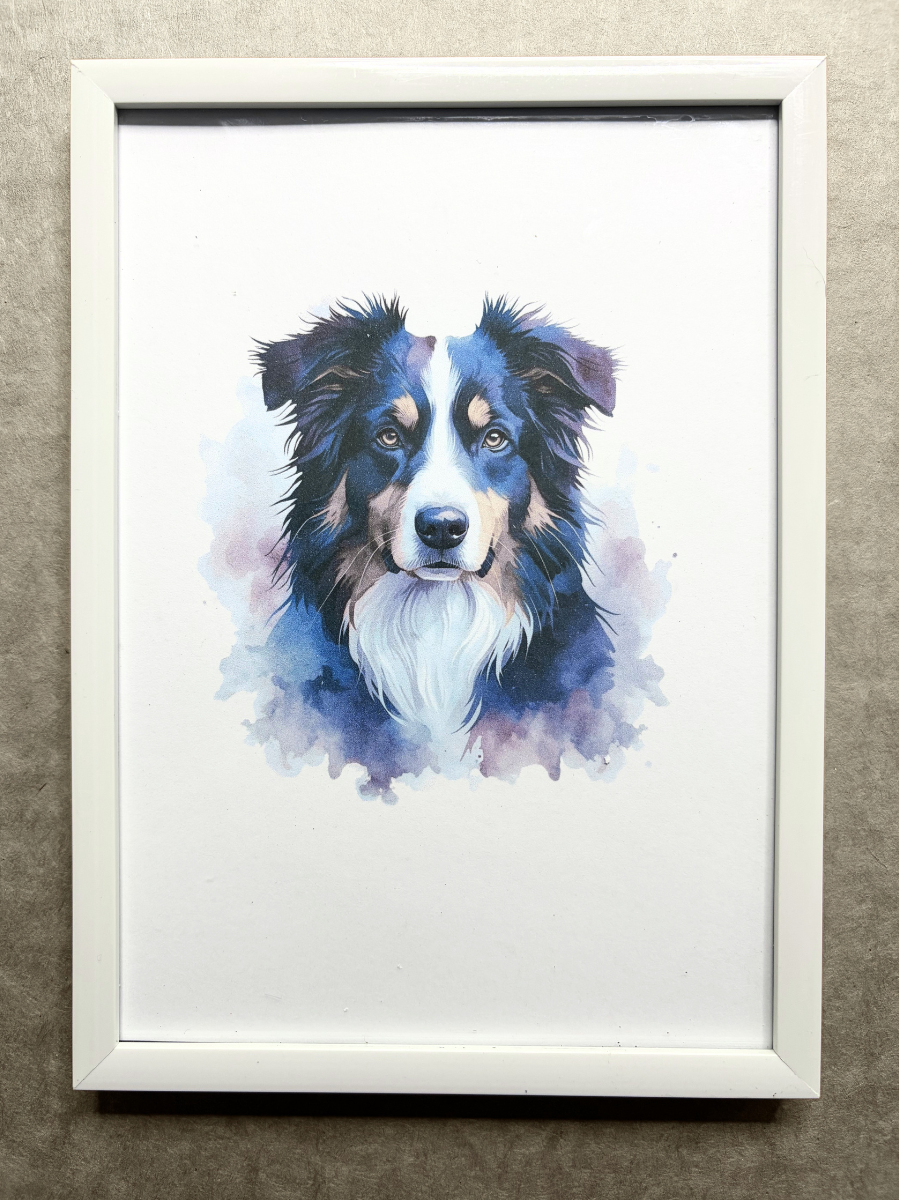 DeskMates Framed Art Print 💠 D02 Australian Shepherd Dog