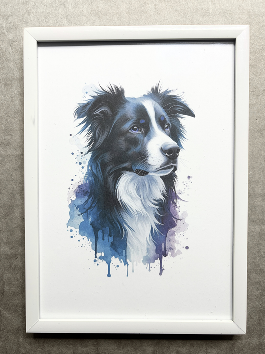 DeskMates Framed Art Print 💠 D09 Border Collie Dog