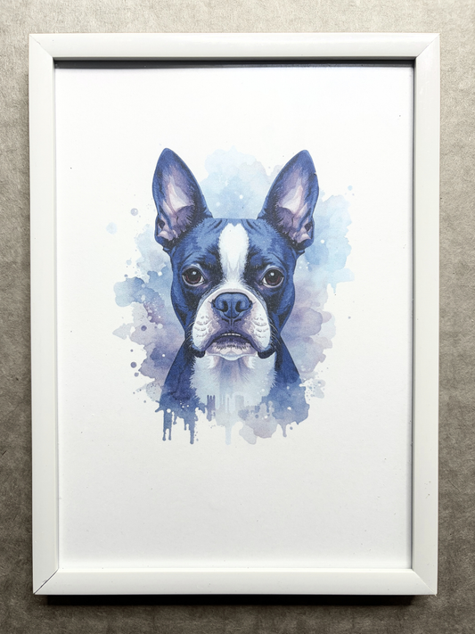 DeskMates Framed Art Print 💠 D10 Boston Terrier Dog