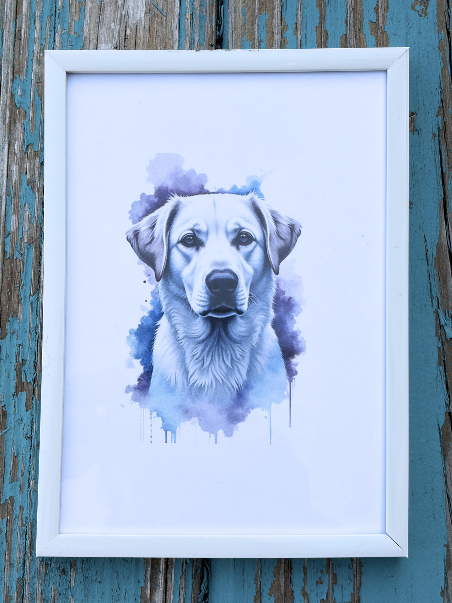 DeskMates Framed Art Print 💠 D21 Golden Retriever Dog