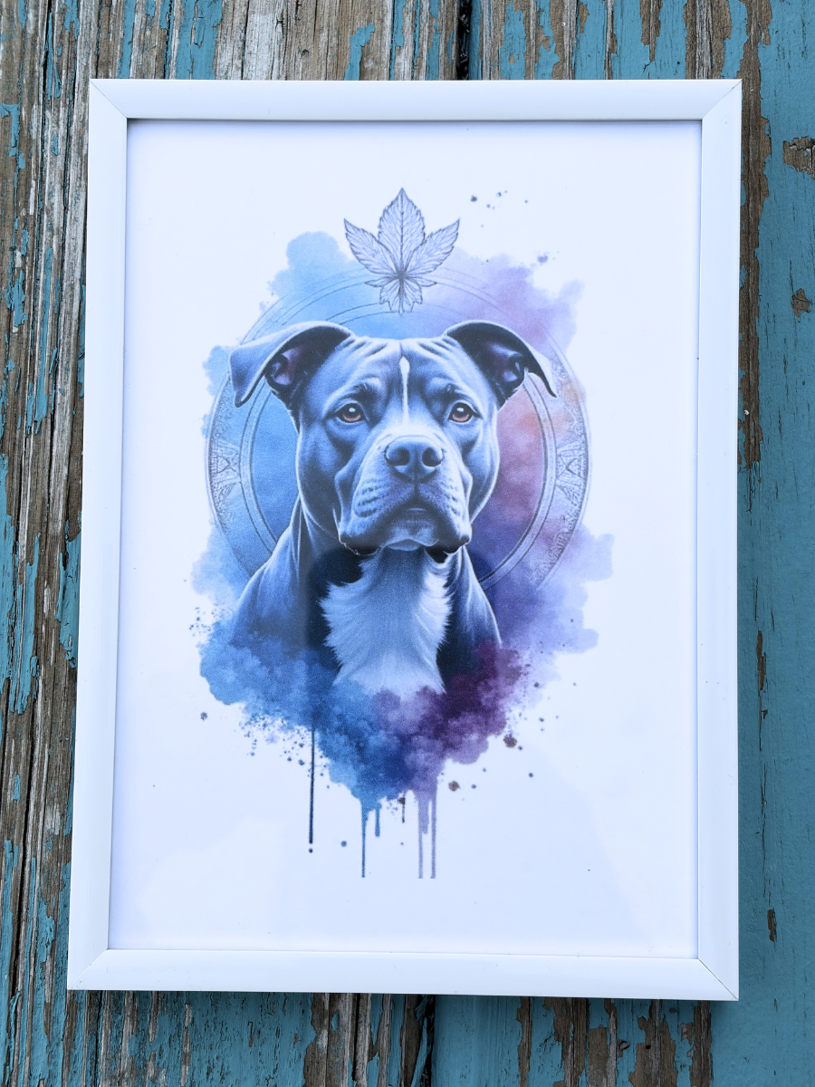DeskMates Framed Art Print 💠 D26 Pitbull Dog