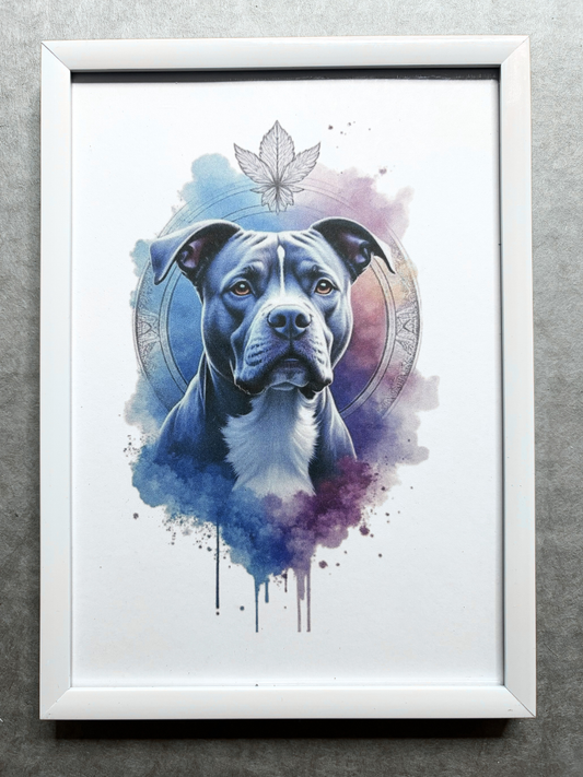 DeskMates Framed Art Print 💠 D26 Pitbull Dog