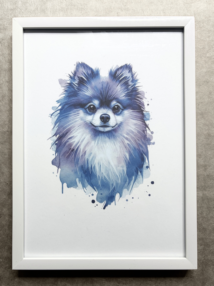 DeskMates Framed Art Print 💠 D27 Pomeranian Dog