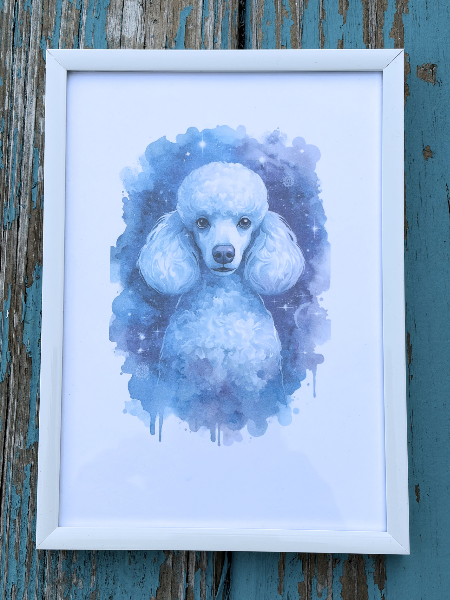 DeskMates Framed Art Print 💠 D28 Poodle Dog