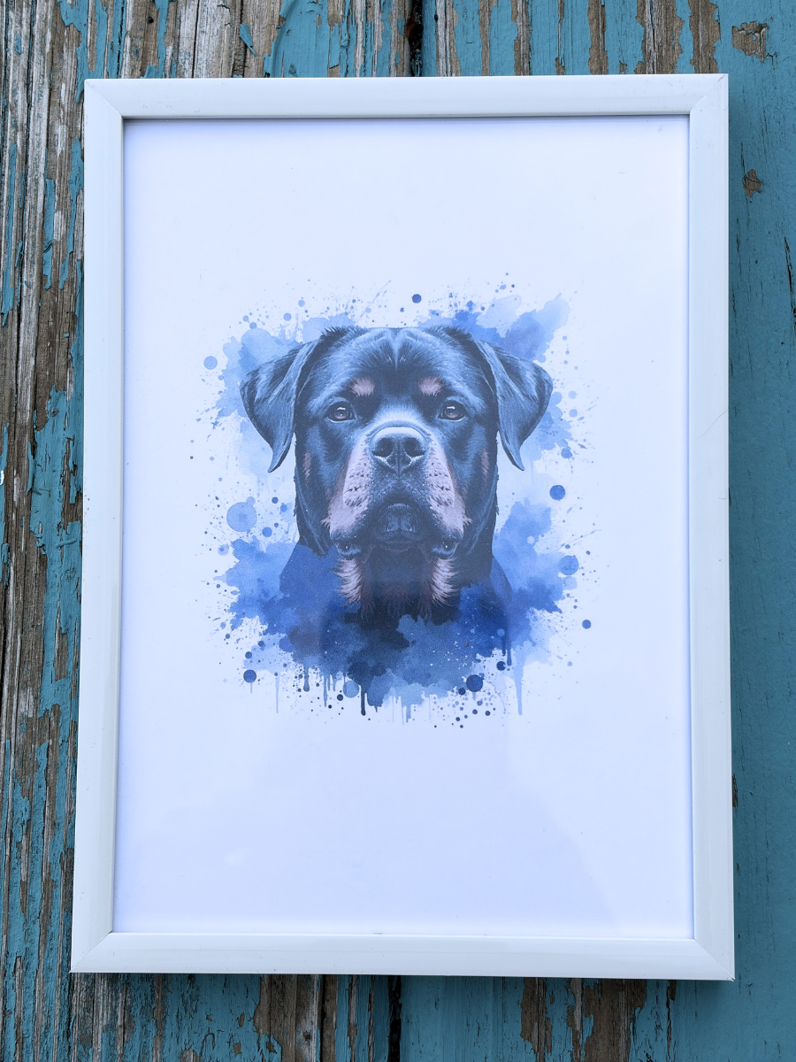 DeskMates Framed Art Print 💠 D30 Rottweiler Dog