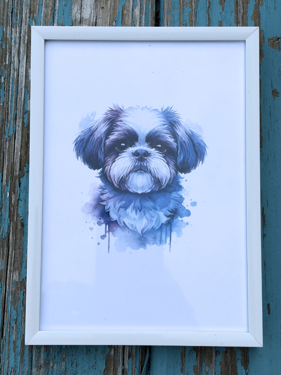 DeskMates Framed Art Print 💠 D33 Shih Tzu Dog