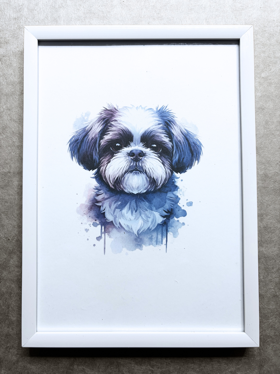 DeskMates Framed Art Print 💠 D33 Shih Tzu Dog