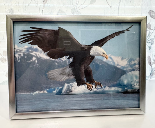 Swooping Bald Eagle ~ Go For Your Goal ~ DeskMates Framed Animal Art Print