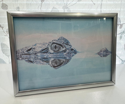Crocodile  - 5" x 7" Framed Animal Art Print