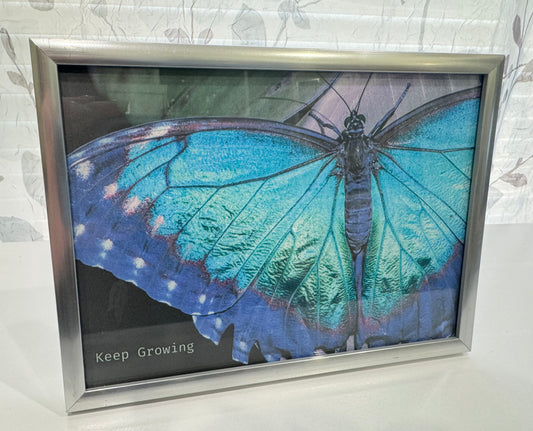 Keep Growing Butterfly 5" x 7" Framed Iridescent Green Blue and Purple Butterfly Art Print