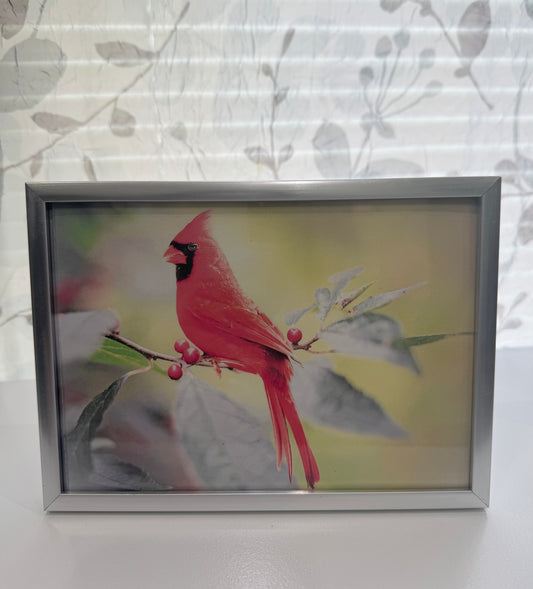 Happy Cardinal in the Sunshine ~ Remember the Good Times ~ DeskMates Framed Animal Art Print