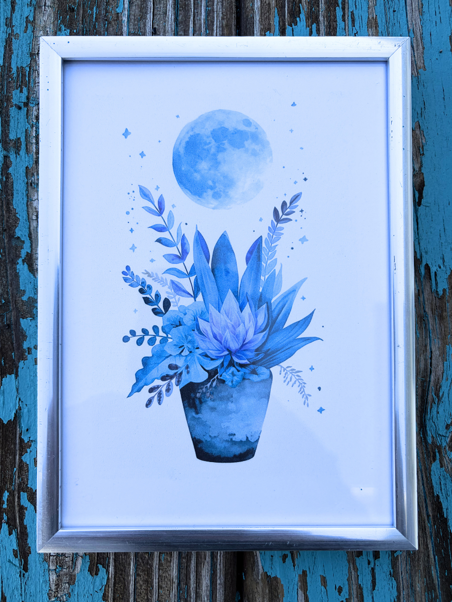 DeskMates Framed Art Print 💠 F02 Succulent Blue Moon