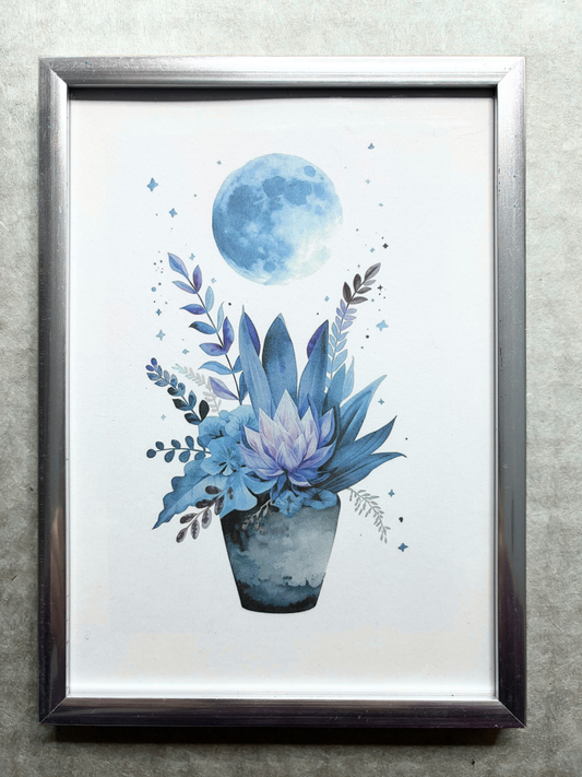 DeskMates Framed Art Print 💠 F02 Succulent Blue Moon