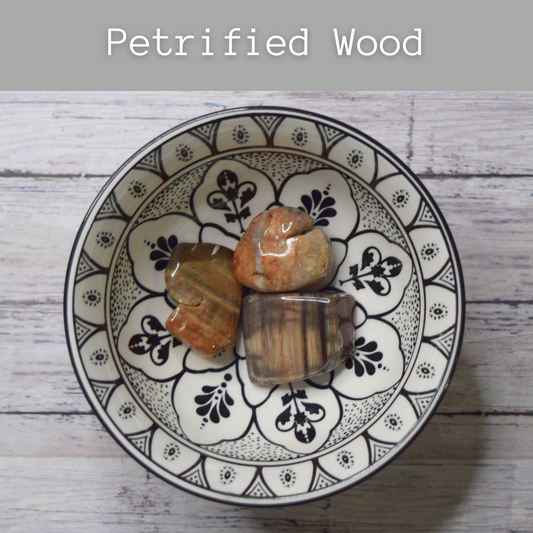 Petrified Wood tumble stone