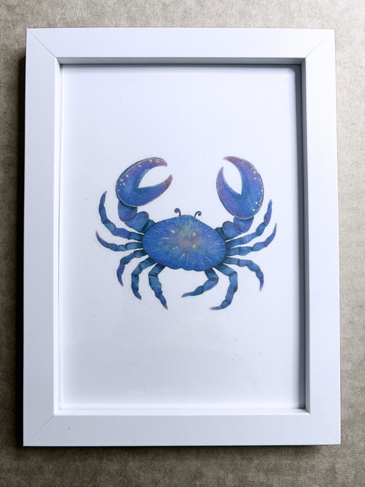 DeskMates Framed Art Print 💠 S Crab